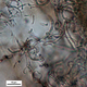 Image for article titled Fossils Give Us a Snapshot of Life Right After a Huge Meteorite Impact